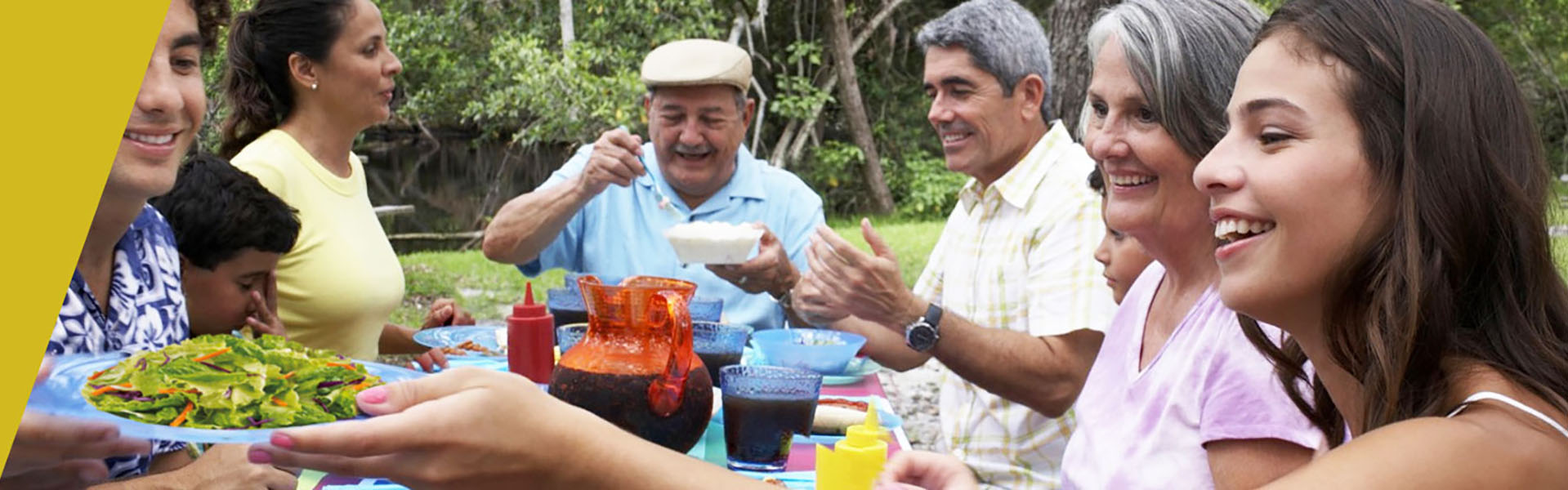 SLAN Internacional – Sociedad Latinoamericana De Nutrición